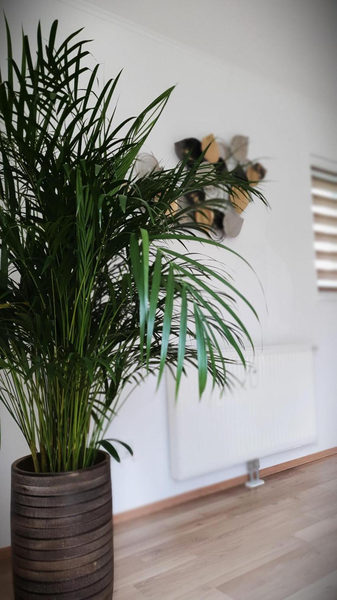 Ferienwohnung Blick Ins Gruene Rossleithen Εξωτερικό φωτογραφία