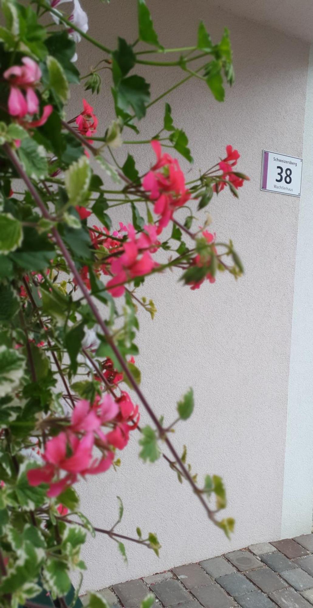 Ferienwohnung Blick Ins Gruene Rossleithen Εξωτερικό φωτογραφία