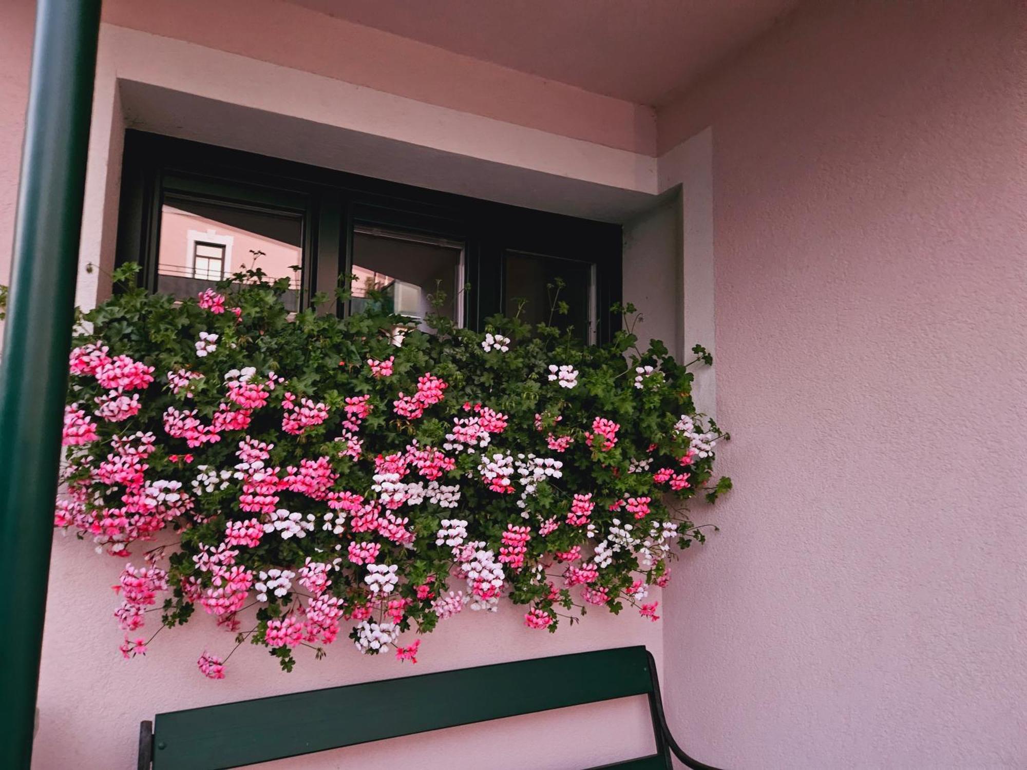 Ferienwohnung Blick Ins Gruene Rossleithen Εξωτερικό φωτογραφία